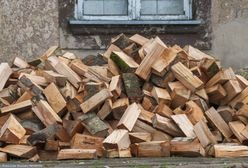 Ceny opału w nadleśnictwach. Tyle kosztuje metr drewna