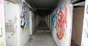 Opuszczone miejsca w Polsce. Opuszczone działki, porzucony szpital, sanatorium jak z horroru