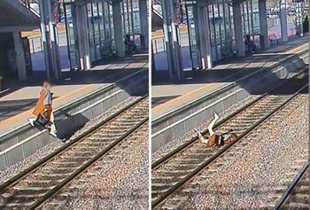 Boli od samego patrzenia. PKM publikuje zdjęcia. "Ku przestrodze"