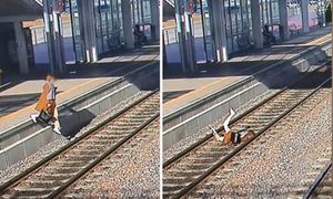 Boli od samego patrzenia. PKM publikuje zdjęcia. "Ku przestrodze"