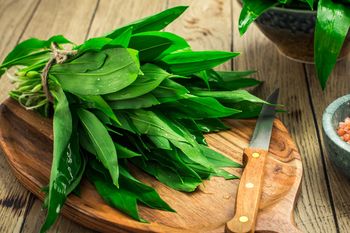 Najzdrowsza roślina, jaka rośnie w Polsce wiosną. Już niedługo zacznie się sezon i znawcy przebierają nogami