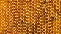 Trypofobia - czym jest, przyczyny, objawy, leczenie