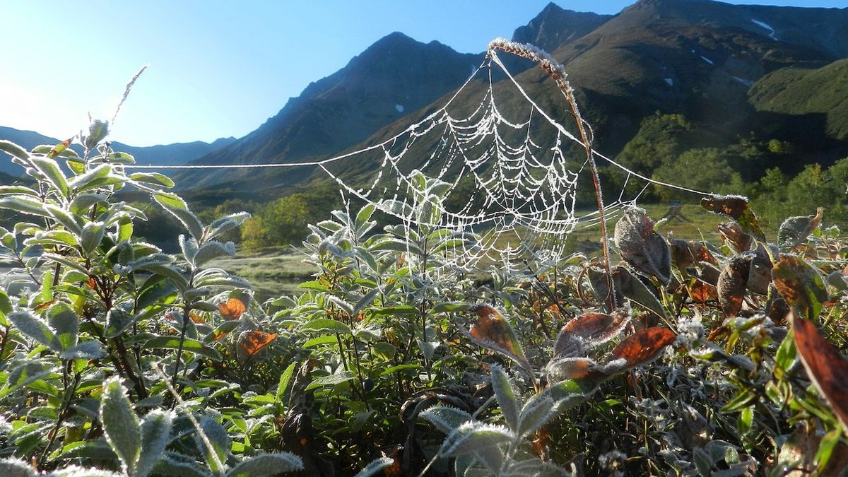 Pogoda sprawi nam niespodziankę, będą pierwsze przymrozki 