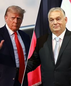 Orban przymila się do Trumpa. Połączą siły?