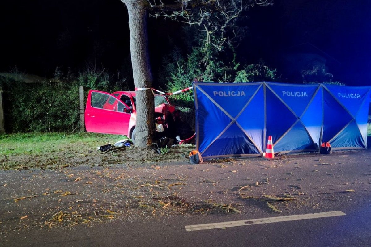 Koszmarny wypadek w Bydgoszczy. 26-latek uderzył w drzewo