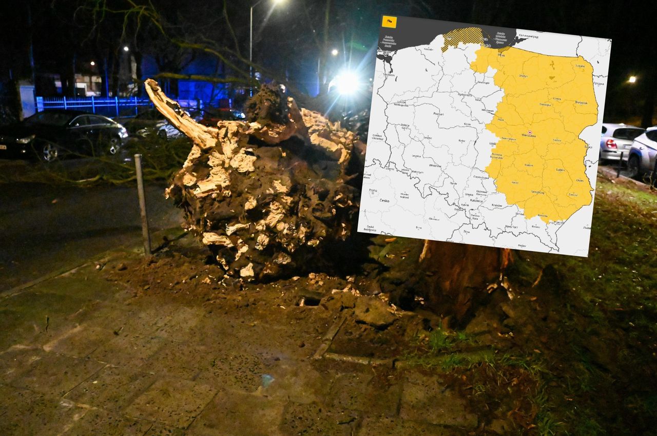 Uwaga na silny wiatr! IMGW wydał alerty dla dziewięciu województw