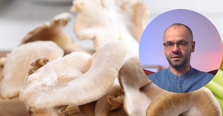 Lekarz zaleca, żeby jeść nawet codziennie. Przedłużają życie, a są w każdym markecie i kosztują grosze