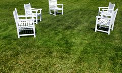 Zielona trawa w dzikim ogrodzie. Jest na nią kilka sposobów