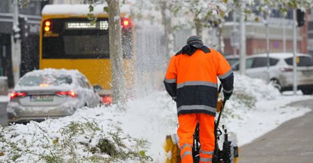 Zimy nie będzie? Długoterminowa prognoza pogody