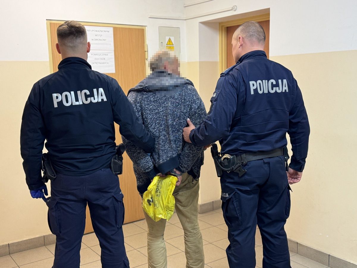 Zaatakował seksualnie 12-latkę. Napastnika spłoszył świadek