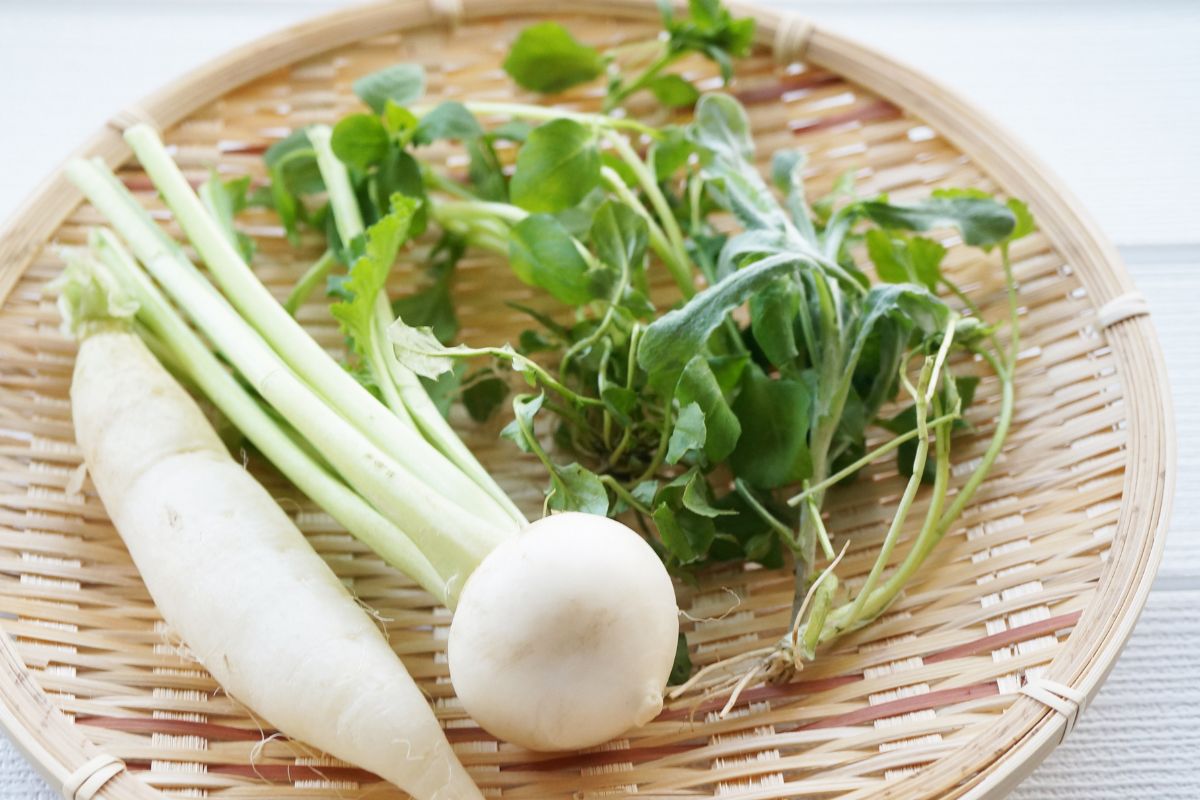 Przechodzimy obok obojętnie, myśląc, iż to zwykły chwast. Smakuje obłędnie i jest bardzo zdrowa