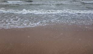 Tragiczne odkrycie na plaży w Gdyni. "Ustalamy szczegóły"