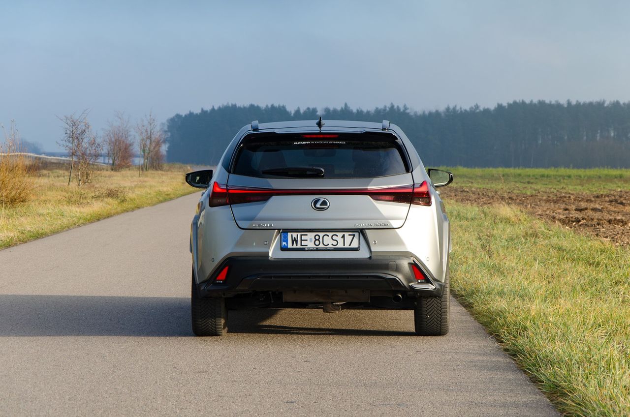 Lexus UX 300h AWD