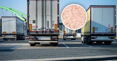 Transport z Tajlandii zatrzymany. To miało trafić do sklepów w Polsce