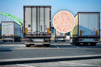 Transport z Tajlandii zatrzymany. To miało trafić do sprzedaży w Polsce