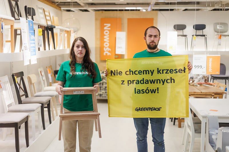 Akcja protestacyjna Greenpeace w Ikei w Jankach, 16.09.2025