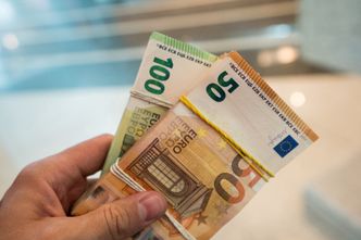 Kursy walut NBP 17.09.2020 Czwartkowy kurs euro, funta, dolara i franka szwajcarskiego