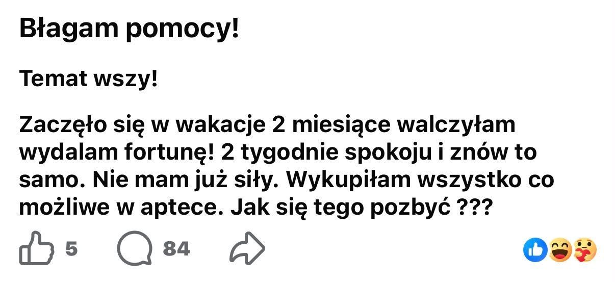 Problem ze wszawicą - komentarze rodziców