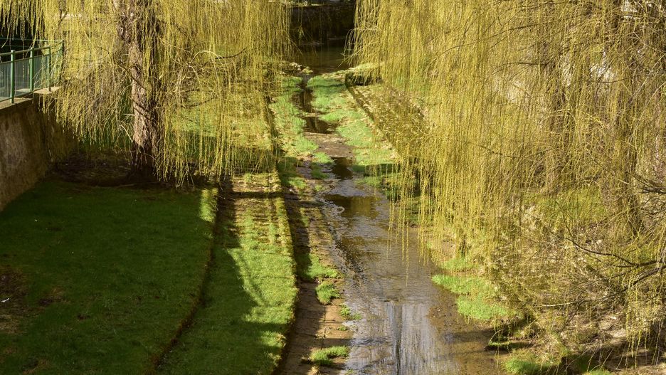 bory, droga, charakter, drzew, krajobraz, opad, jary, drewna, feuille, szlak, gras, woda, park, obszarów wiejskich, rzeka, pora roku, susza, koryto, rzeki, kataklizm, niski, poziom, wody, w, rzekach, opady, susica, dolenjske toplice, brzeg, nurt, swiat, na, krawedzi, river, poziomie, wod