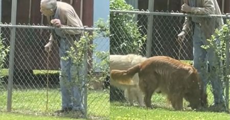 Nagrała go z ukrycia. Pokazała wszystkim, co robi jej sąsiad