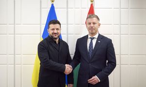 Zełenski prosi o tranzyt zboża. Zwrócił się m.in. do Polski
