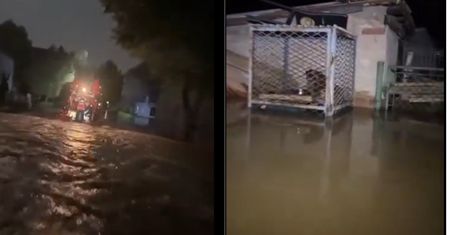 Strażacy nie wytrzymali. "Pies w klatce? Jak tak można"