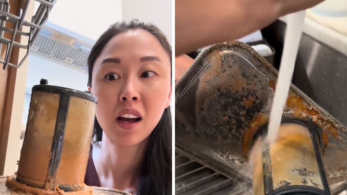 Brudny filtr w zmywarce.