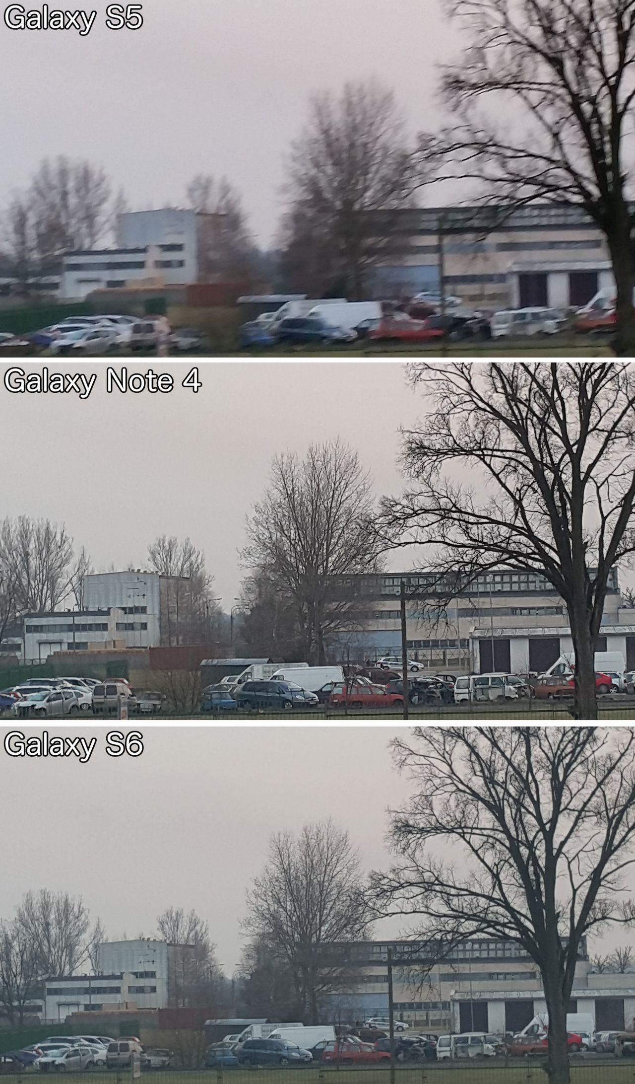 Galaxy S5 vs Galaxy Note 4 vs Galaxy S6 - wykadrowane zdjęcia