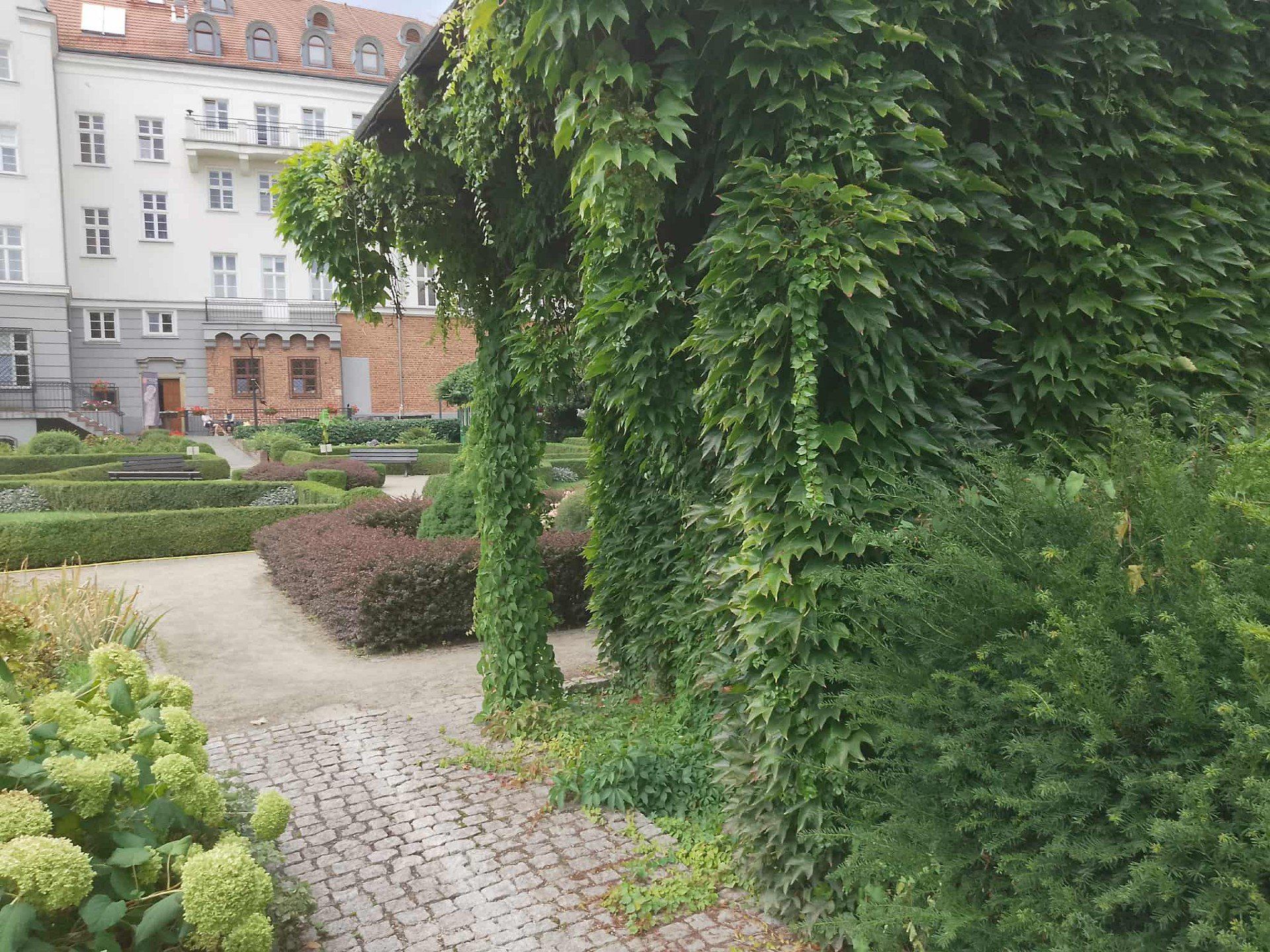 Ogród na tyłach domu zakonnego sióstr Notre Dame na Ostrowie Tumskim