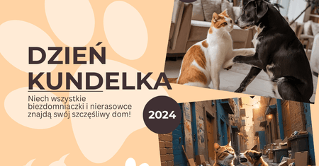 Dzień Kundelka. Koty i Kociarze życzą Wam…