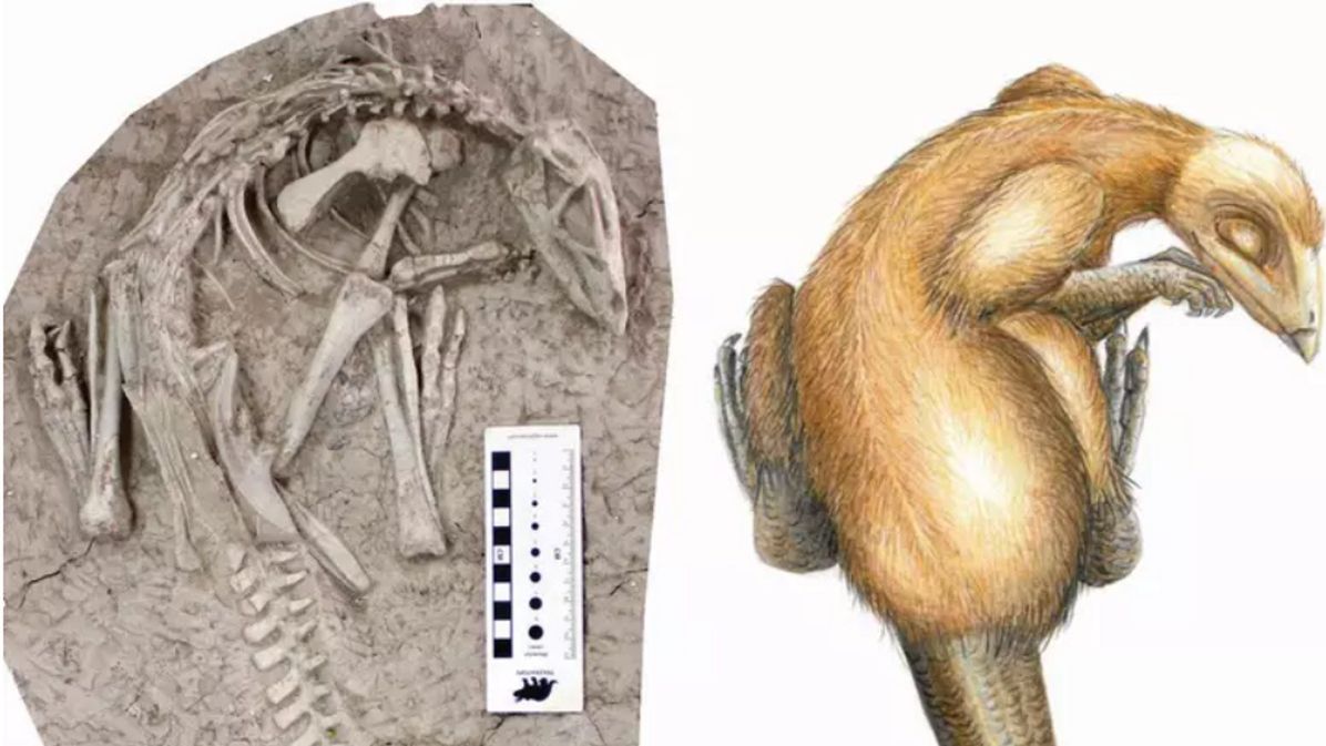 Nowy gatunek dinozaura