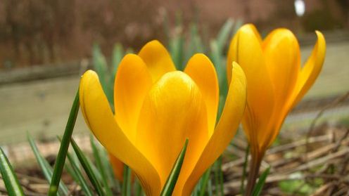 Jakie gry dostaniemy wiosną tego roku? 1