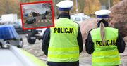 Wyprzedzał na pasach. "Przez takich kierowców giną ludzie"
