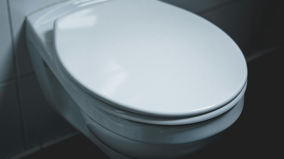  Szokujący incydent w Gorzowie. Ktoś wysmarował sedes klejem