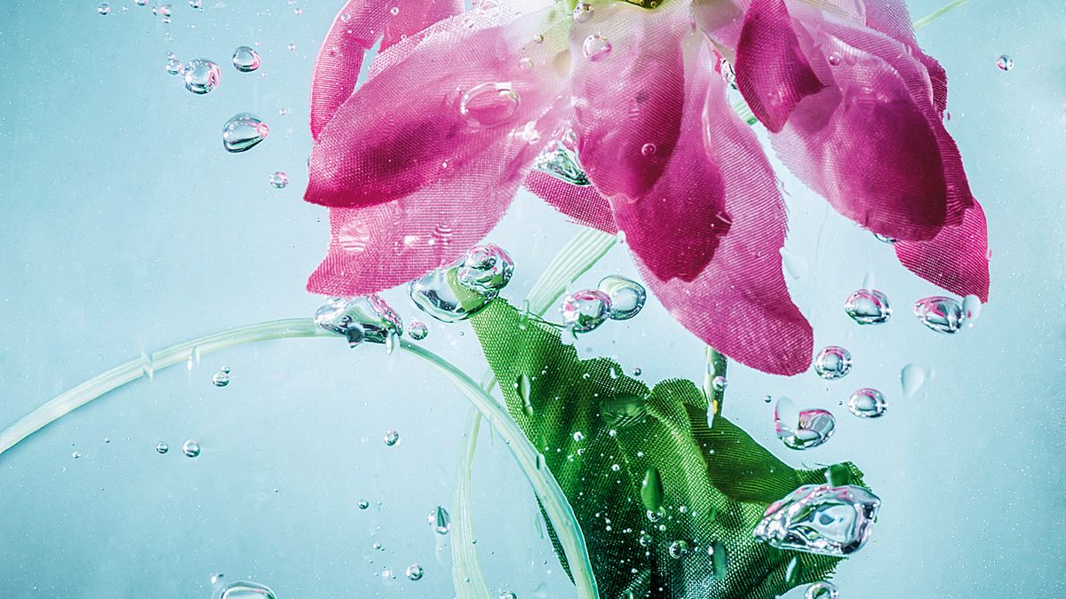 Fotografuje pod wodą i sprawia, że kwiaty wyglądają jak obrazy akwarelowe 1
