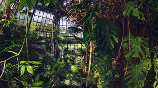 Sosnowiec: Chcesz poczuć klimat tropików? Egzotarium to idealny wybór