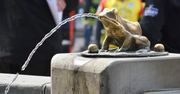 Toruń: Moc atrakcji w jeden dzień. Od Disneya po koncerty i sport
