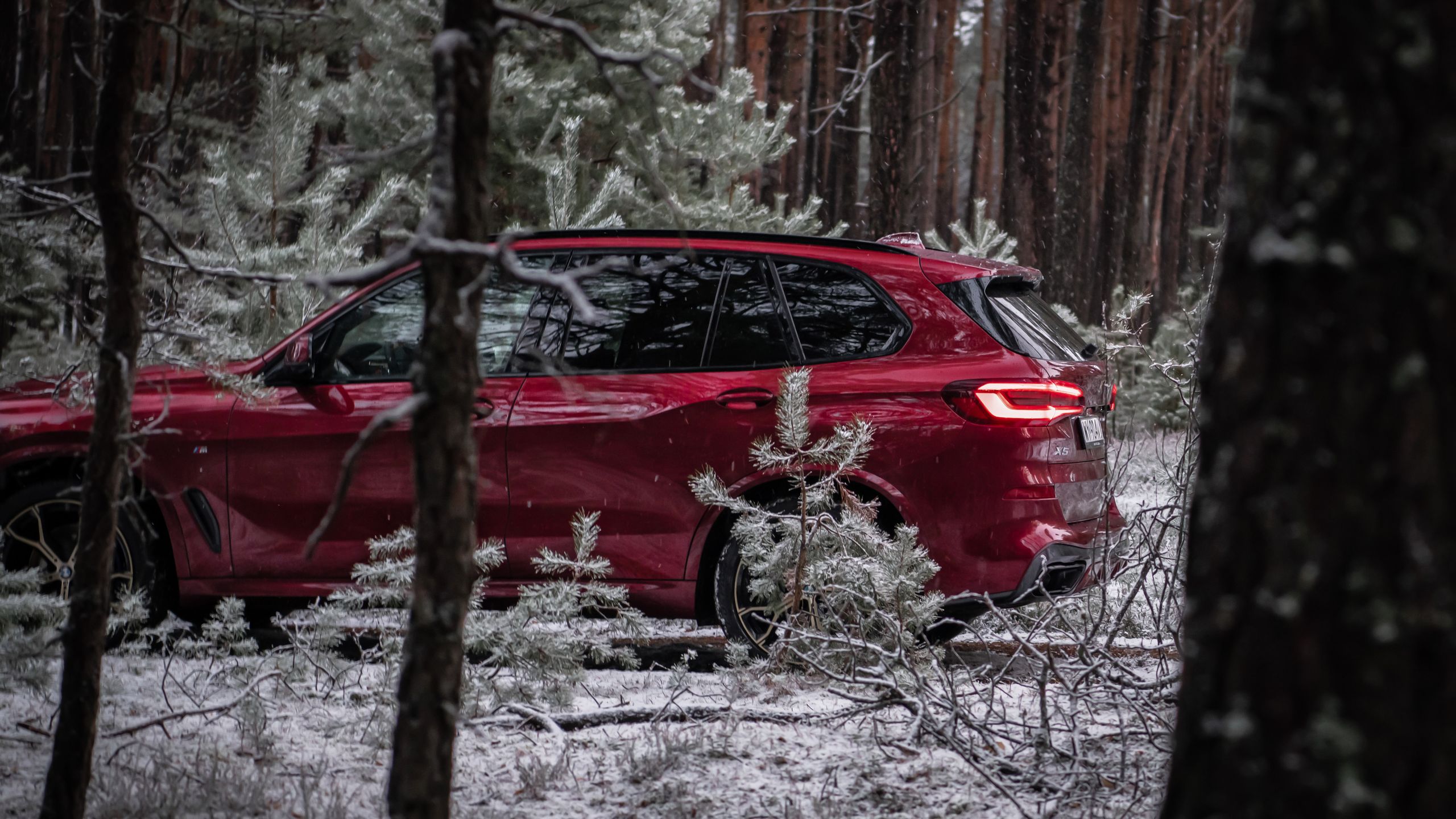 BMW X5 xDrive 30d (2022)