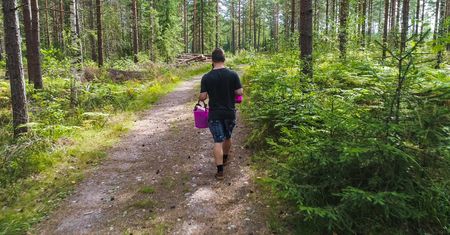 Po deszczach wysyp w lasach. Grzybiarze w niektórych regionach będą zachwyceni