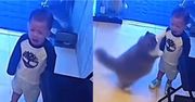 Dziecko zanosiło się płaczem. Nagle pojawił się kot. Nagranie zaskakuje