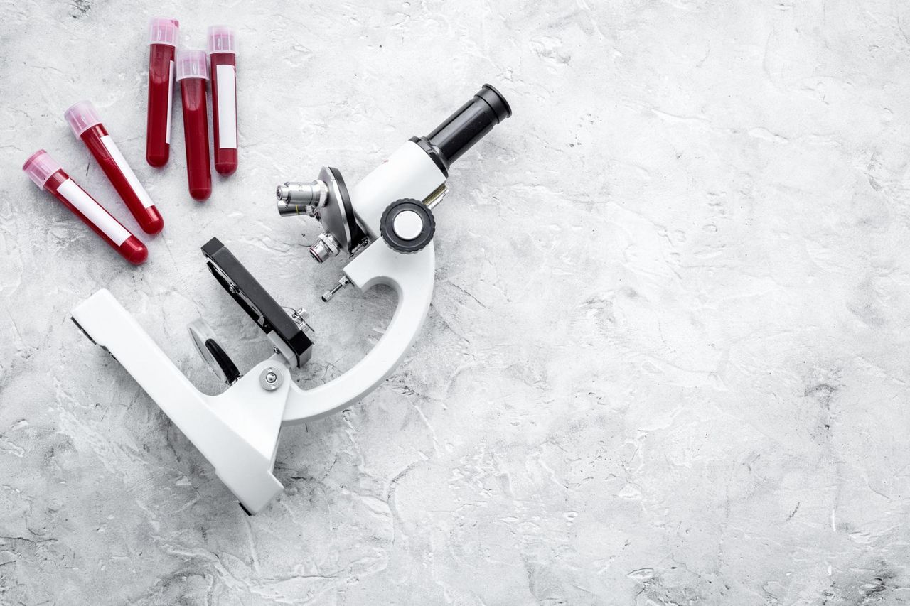 Bazocyty (bazofile) - funkcje, normy, podwyższone i obniżone bazocyty