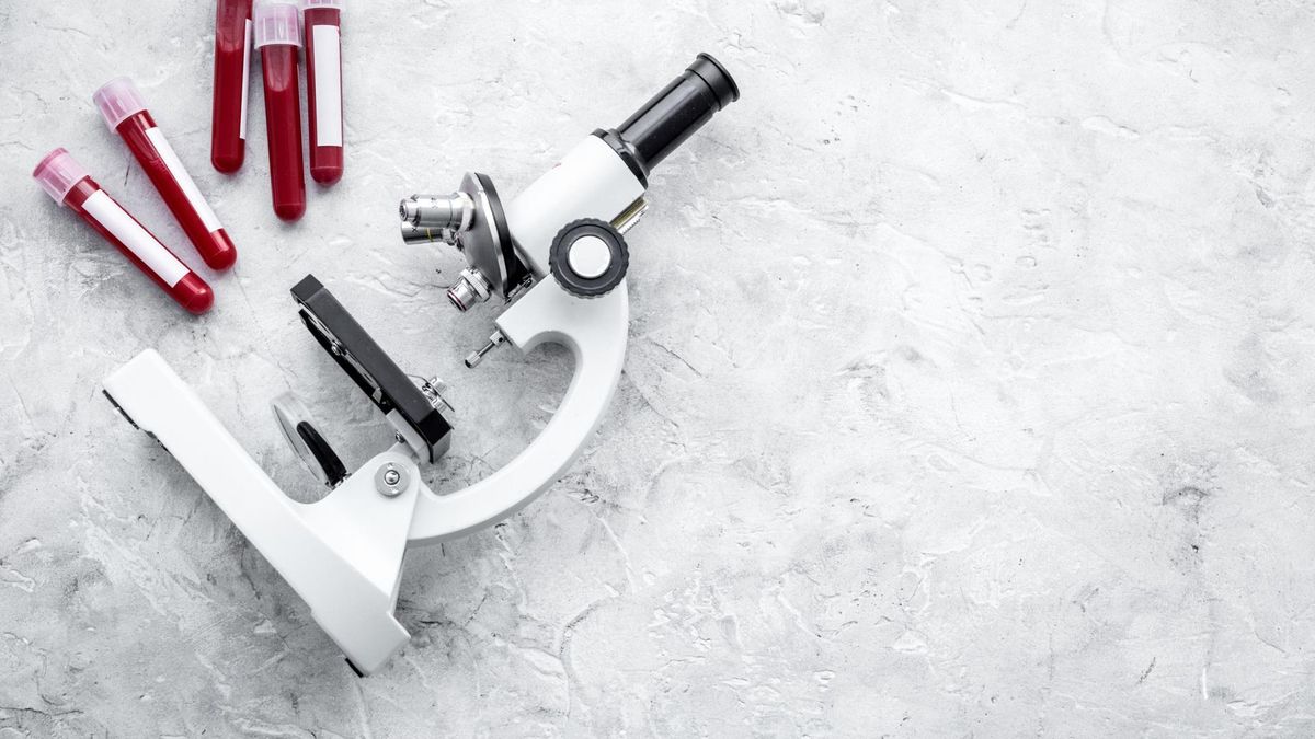 Bazocyty (bazofile) to elementy komórek układu odpornościowego, możliwe do oznaczenia za pomocą morfologii krwi.