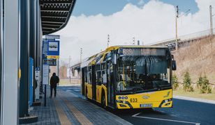 Śląskie. Dzień bez Samochodu. Darmowa komunikacja z dowodem rejestracyjnym