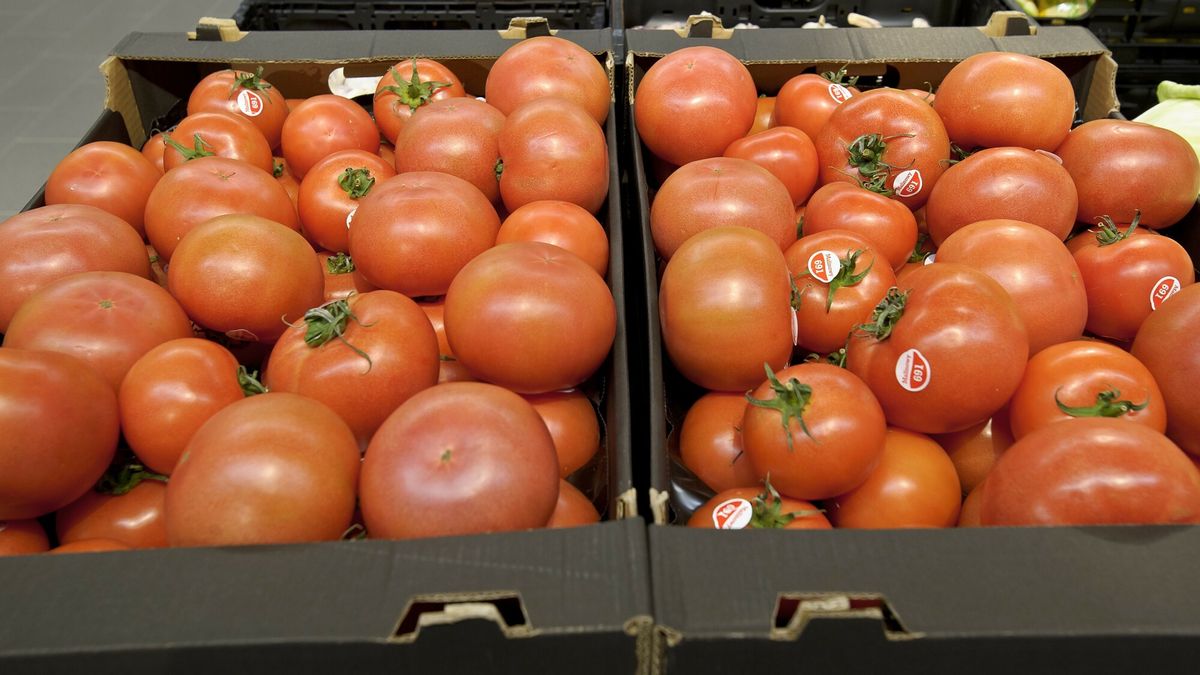 reporter_baza_2021-02
02.02.2021 Elblag. Sklep Aldi ul. Robotnicza na kilka godzin przed oficjalnym otwarciem N/z pomidory  Fot. Stanislaw Bielski/REPORTER
STANISLAW BIELSKI/REPORTER