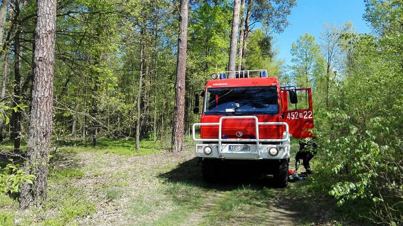 Pożar lasu na terenie leśnictwa Zwierzyniec
