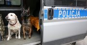 Pieskie życie funkcjonariusza. W Polsce wciąż nie ma obowiązku opieki nad psim emerytem