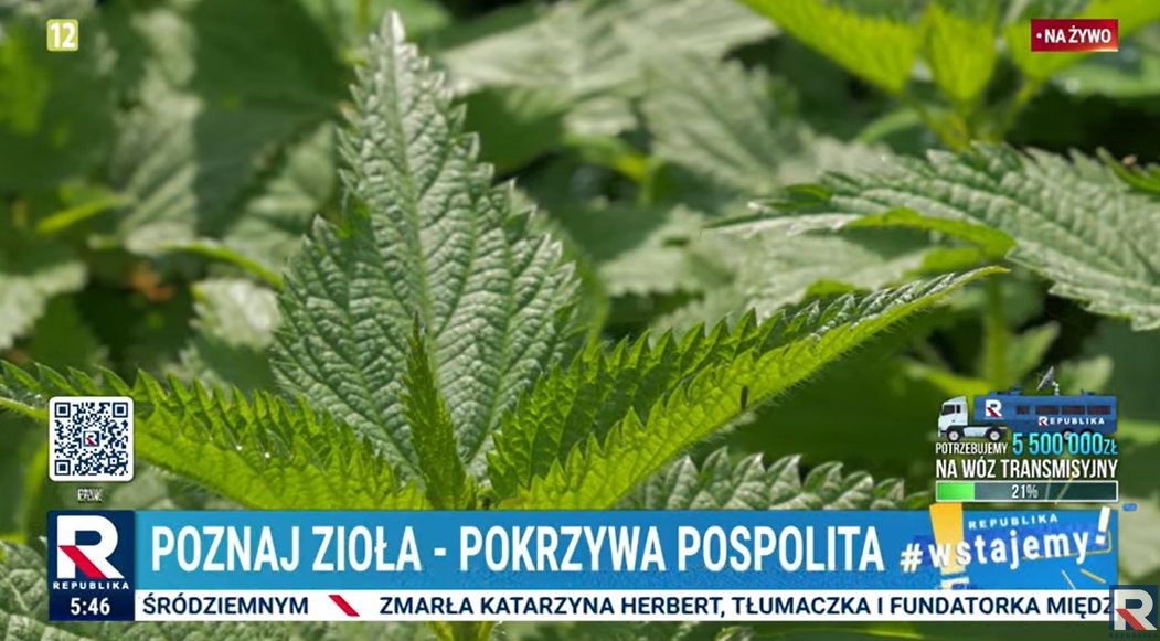 Screen z programu "Republika Wstajemy"