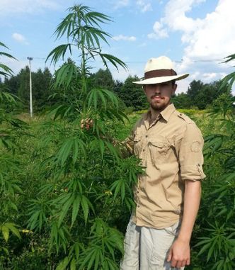 Spróbował uprawy konopi siewnych. "Jedną odmianę rozkradli nam całą"