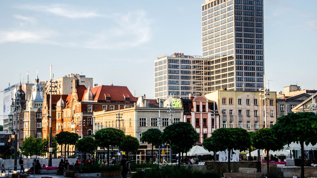 Katowice (zdj. podgl.).