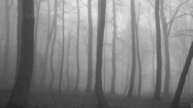 Gdzie mieszka strach? Polscy naukowcy zlokalizowali jedną z najsilniejszych emocji 1